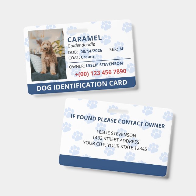 Blue Paw Prints Photo & Name Dog Identification ID Badge (Front & Back)