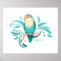 Blue Peach Faced Lovebird