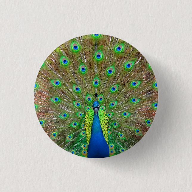 Blue Peacock #3 Button (Front)