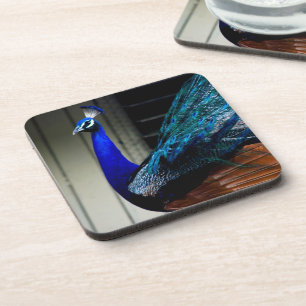Blue Peacock  Coaster