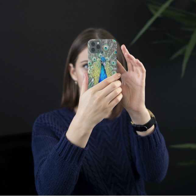 Blue Peacock Feather Plumage (In Situ)