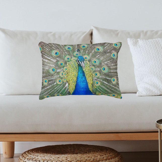 Blue Peacock Feather Plumage Decorative Cushion (In Situ Sofa)