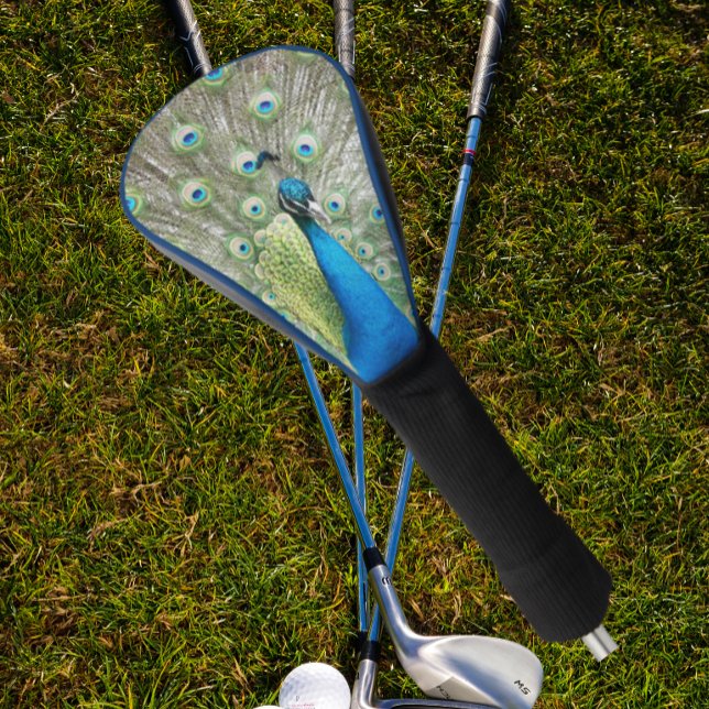 Blue Peacock Feather Plumage Golf Head Cover (In Situ Golfing)