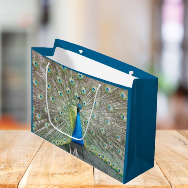 Blue Peacock Feather Plumage Large Gift Bag (In Situ)