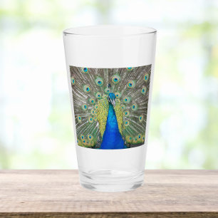 Blue Peacock Feather Plumage Photo Glass