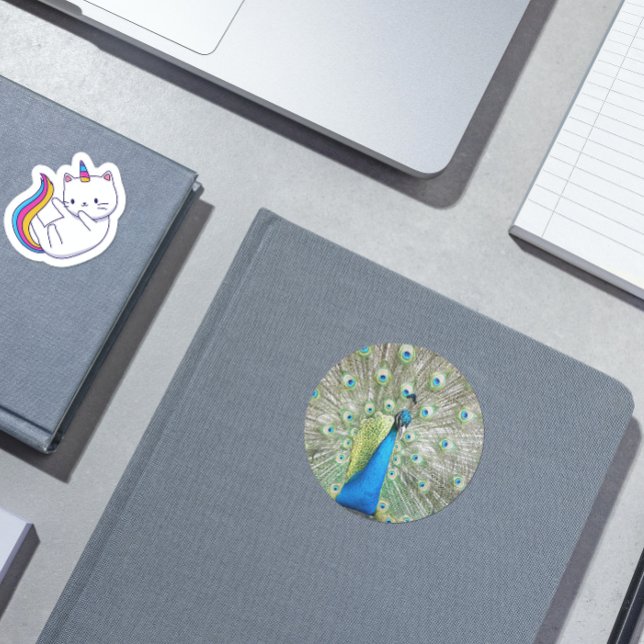 Blue Peacock Feather Plumage Photo Heart Sticker (In Situ Book)
