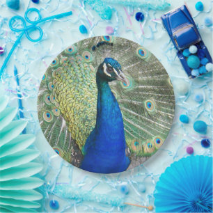 Blue Peacock Feather Plumage Photo Paper Plate