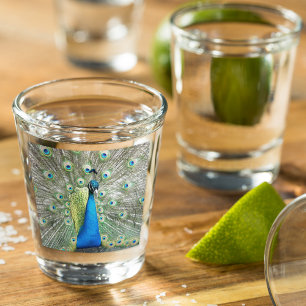 Blue Peacock Feather Plumage Photo Shot Glass