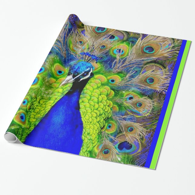 Blue  Peacock Feathers Design Wrapping Paper (Unrolled)