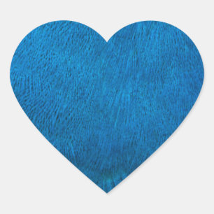 Blue peacock feathers heart sticker
