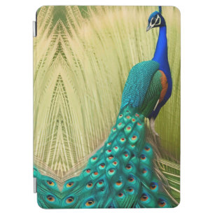 Blue Peacock in grass iPad Air Cover