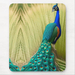 Blue Peacock in grass Mouse Mat