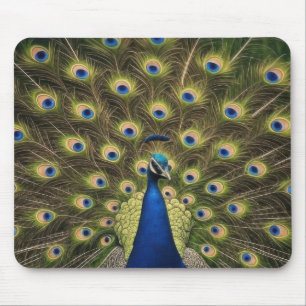 Blue Peacock Mouse Mat