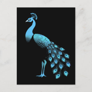 Blue Peacock Postcard