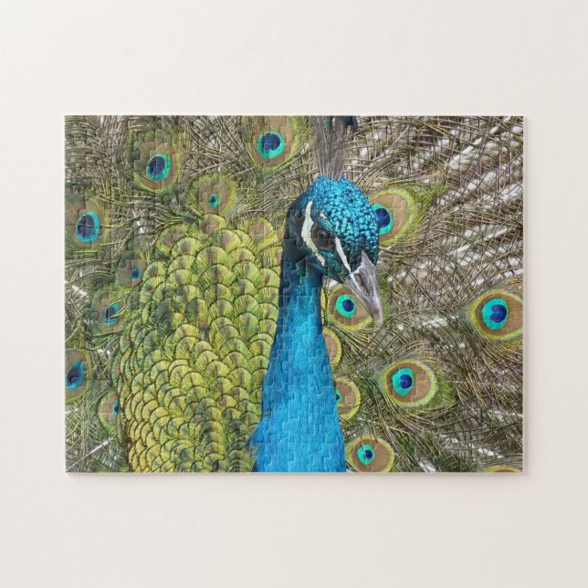 Blue Peacock Puzzle (Horizontal)