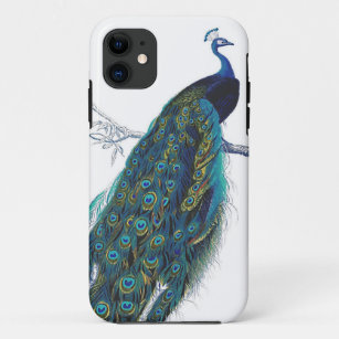 Blue Peacock with beautiful tail feathers Case-Mate iPhone Case