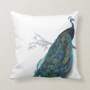 Blue Peacock with beautiful tail feathers Cushion