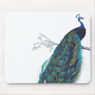 Blue Peacock with beautiful tail feathers Mouse Mat