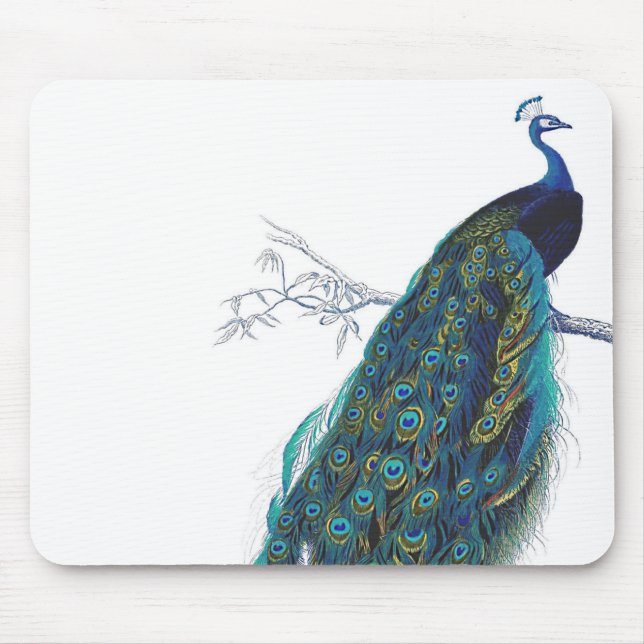 Blue Peacock with beautiful tail feathers Mouse Mat (Front)