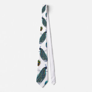 Blue Peacock with beautiful tail feathers Tie