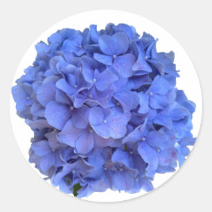 Blue periwinkle elegant floral hydrangeas  classic round sticker