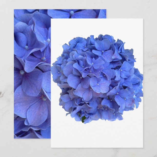 Blue periwinkle elegant floral hydrangeas  invitation (Front/Back)