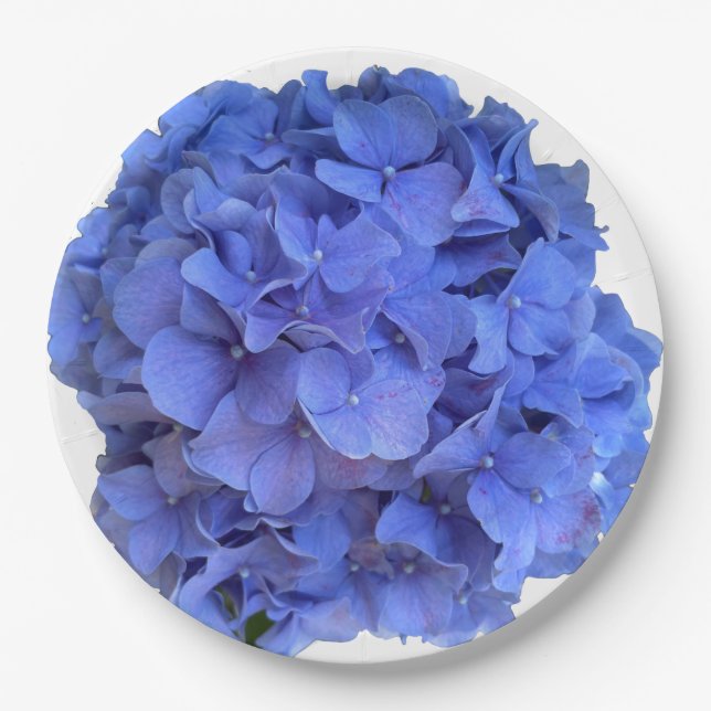 Blue periwinkle elegant floral hydrangeas  paper plate (Front)