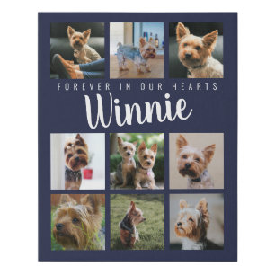 Blue Pet Photo Collage Memory Keepsake Script Name Faux Canvas Print