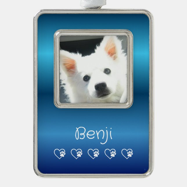 Blue Pet Photo Ornament - Vertical, Personalized Silver Plated Framed Ornament (Front)