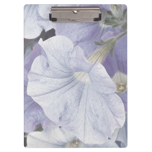 Blue Petunia Blossom Clipboard (Front)