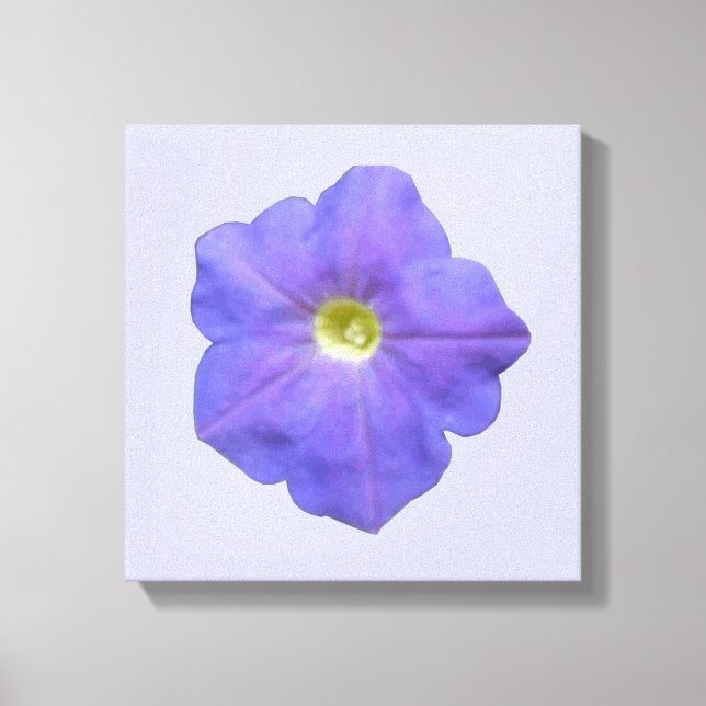 Blue Petunia Canvas Print (Front)