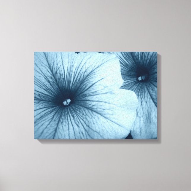 Blue Petunias Canvas Print (Front)