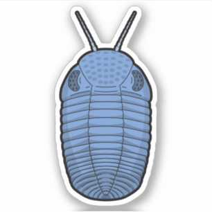 Blue Phacops Trilobite- Prehistoric Animal Vinyl
