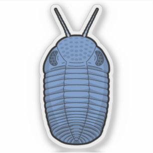 Blue Phacops Trilobite- Prehistoric Animal Vinyl