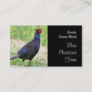Blue pheasant game birds business card