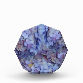 Blue Photo Block
