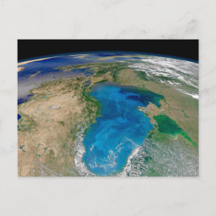 Blue Phytoplankton Bloom In The Black Sea Postcard