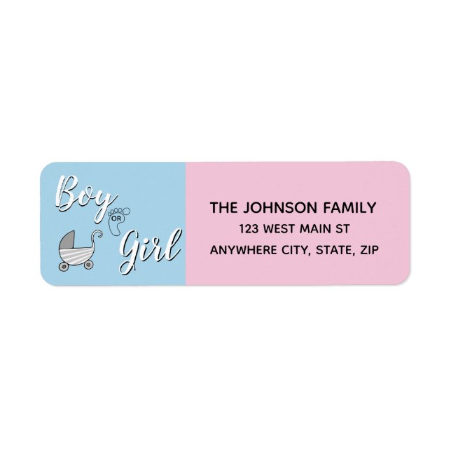 Blue Pink | Boy Girl Gender Reveal Party (Front)