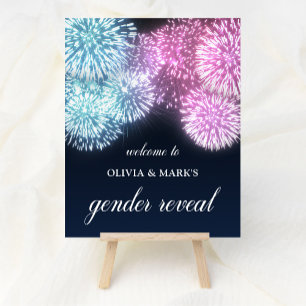 Blue Pink Firework Gender Reveal Welcome Poster