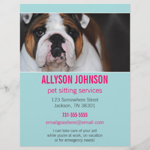 Blue & Pink Photo Pet Sitting Services flyer's 1 Flyer