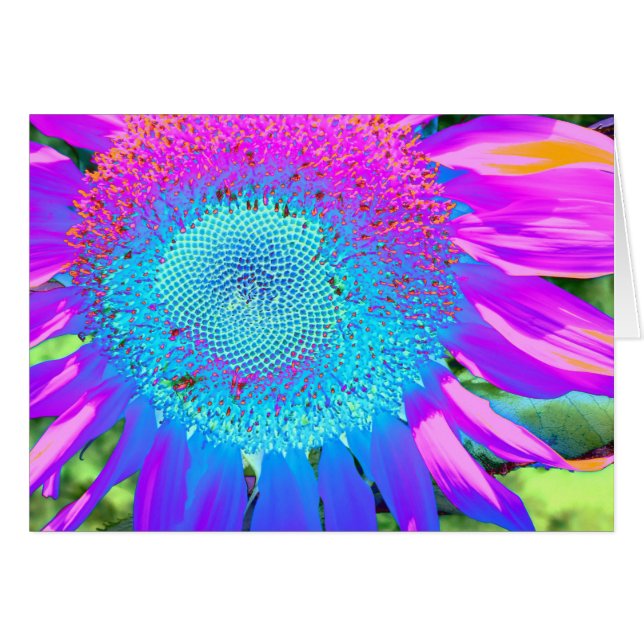 Blue Pink purple Sunflower (Front Horizontal)
