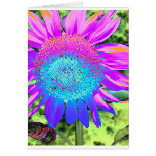 Blue pink retro funky sunflower photo