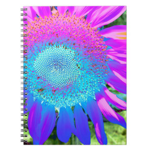 Blue pink retro funky sunflower photo notebook