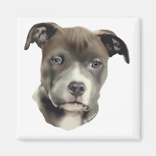 Blue Pitbull Magnet