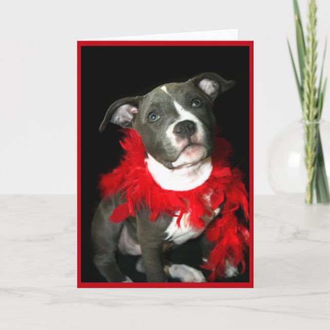Blue Pitbull Puppy Greeting Card (Front)