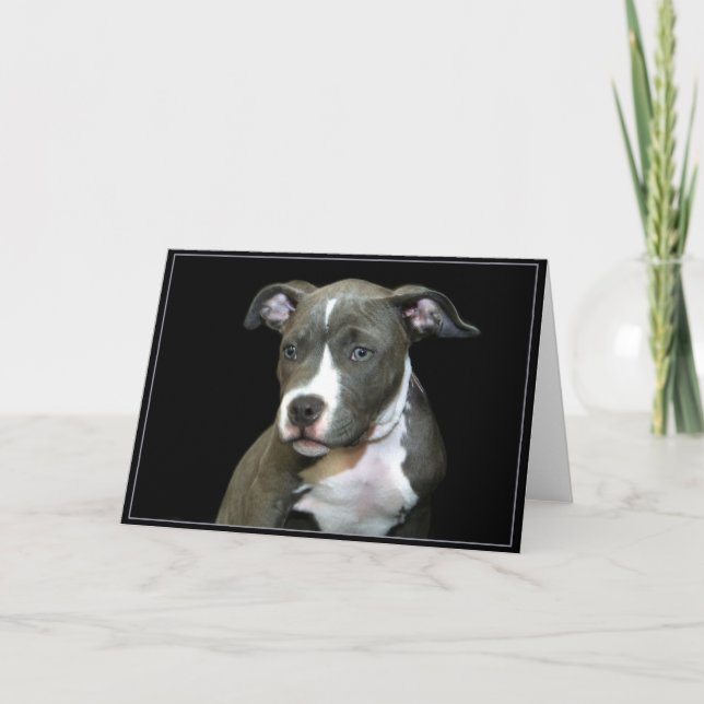 Blue Pitbull Puppy Greeting Card (Front)
