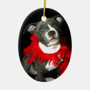 Blue pitbull puppy ornament