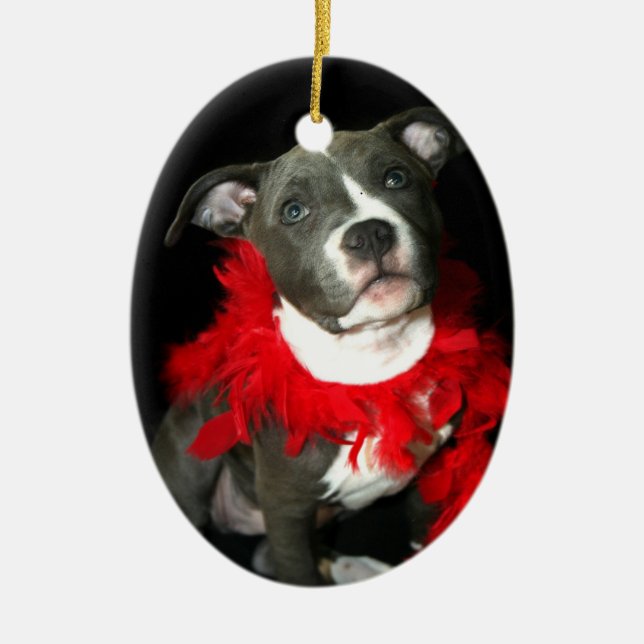 Blue pitbull puppy ornament (Front)