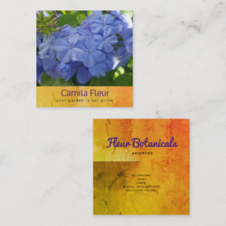 Blue plumbago botanical business card