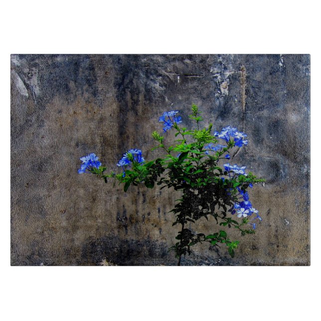 Blue Plumbago Flower Cutting Board (Front)